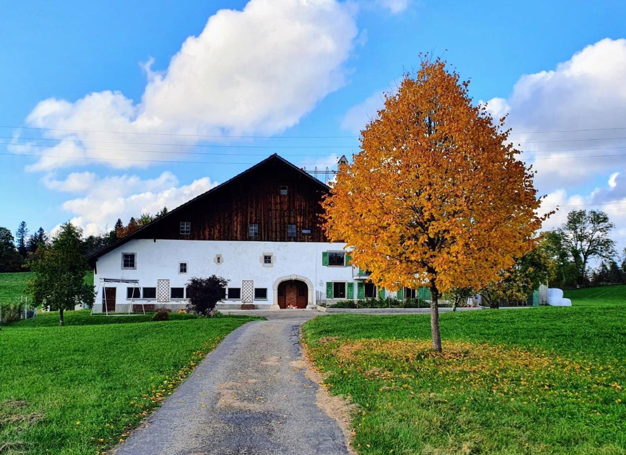 O Valanvron - Appartement Dans Une Ancienne Ferme Neuchateloise La Chaux De Fonds Kültér fotó
